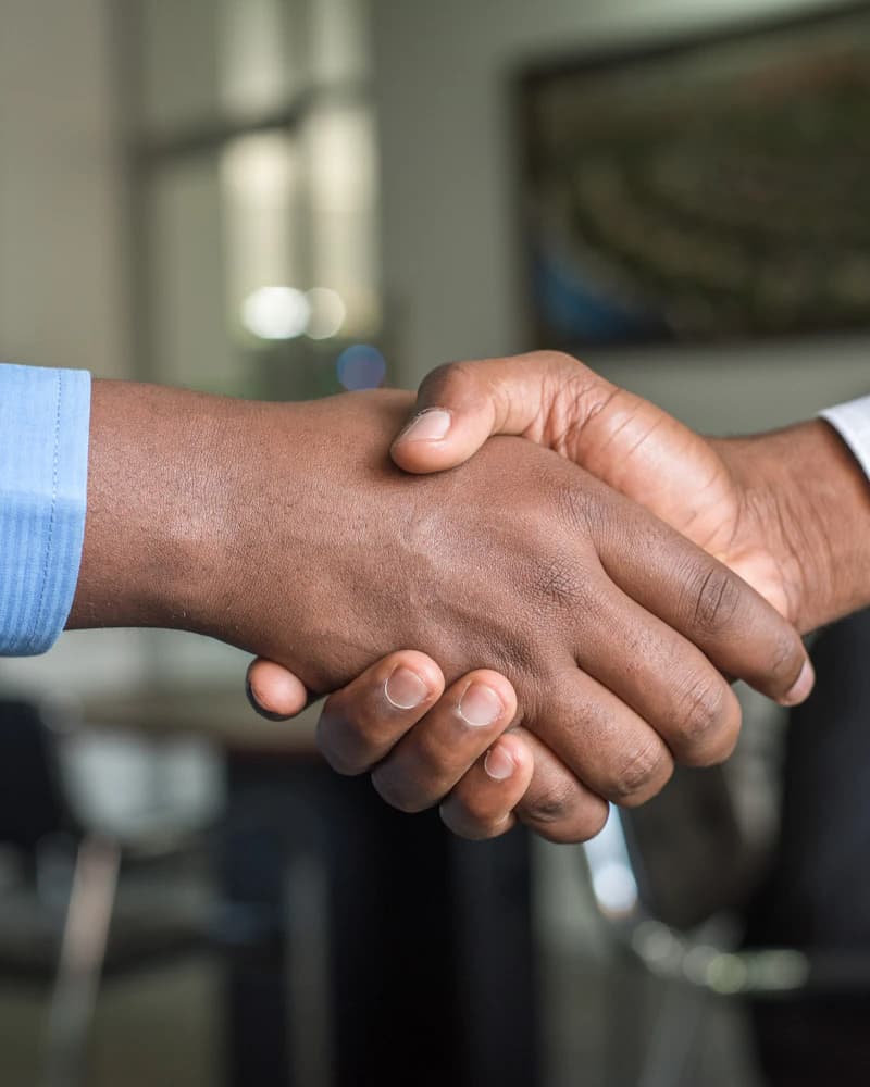 Business partners shaking hands after a successful consultation